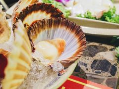 扇贝-Xiao Long Kan Hotpot Sydney 小龙坎老火锅