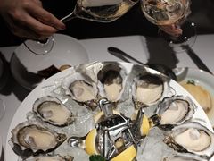 -Oyster Talks 四度蚝法餐厅