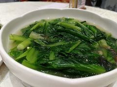 油麦菜-优之名鹅城