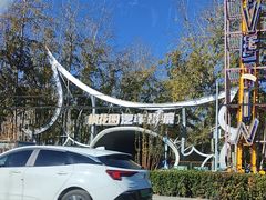 -枫花园汽车电影院(朝阳公园店)