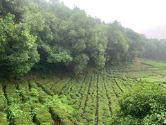 -杭州西湖风景名胜区-满觉陇四眼井