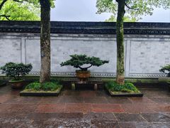 -天一阁博物院