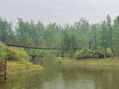 -合肥滨湖国家森林公园