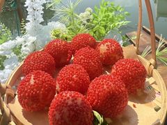 -徐岛主·特色农家乐(阳澄湖莲花岛店)