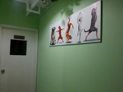 虹口教室新装修了-雅米拉艺术中心(少儿舞蹈培训)