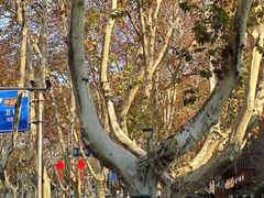 -小马牛肉面·牛骨熬制(南京博物院店)