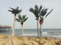-北戴河碧螺塔海上酒吧公园