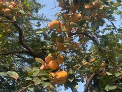 -北京石刻艺术博物馆(五塔寺)