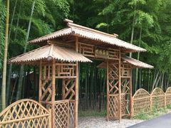 -龙寺生态园