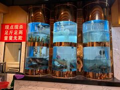 -味力源·肥肠爱上鱼(红牌楼金冠好店)