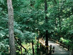 -北京西山国家森林公园