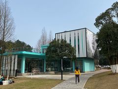 -铁山坪森林公园