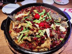 -老板恋上鱼(恒隆广场店)