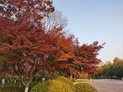 -南京眼步行桥
