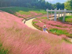 -牛岗山公园
