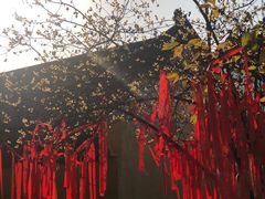 -宝通禅寺