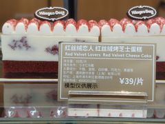 -哈根达斯(深圳海岸城店)