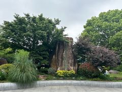 -昆山城市生态森林公园