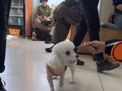 -美联众合动物医院·24h京西诊疗中心