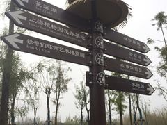 -上海长兴岛郊野公园