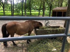 -长白岛森林公园