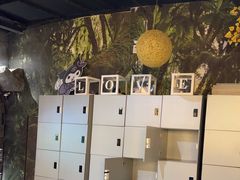 -暴风岛沉浸式体验馆(百联世纪店)