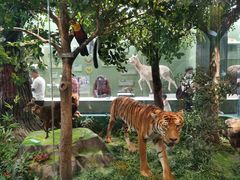 -国家自然博物馆