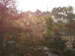 -观宴·品质赣菜(高新大道店)