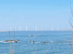 -长江澳风力发电景观区