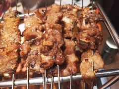 -邢氏老太太烤串(北兴街店)