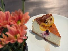 -Apollo·西班牙小酒馆(安福路店)