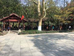 -杭州黄龙洞