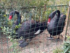 -春晖园度假酒店温泉