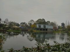 -成飞公园