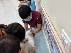 -美联众合动物医院·24h京西诊疗中心