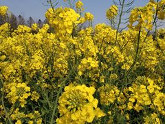 -上海海事大学(临港校区)