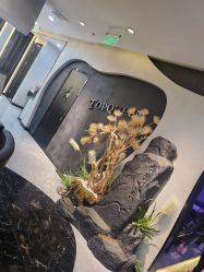-TOP HAIR SALON
