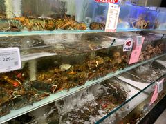 -超级物种·波龙工坊(国贸店)