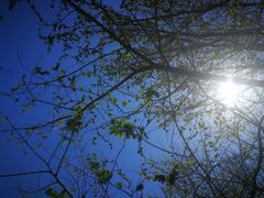 -北运河水利风景区