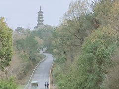 -苏州上方山国家森林公园