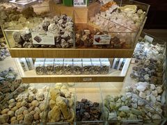 -Behring World of Animals(上海自然博物馆店)