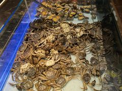 -鼎香缘海鲜自助火锅烤肉(锦辉购物广场店)