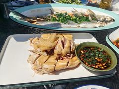 -阿巧茶庄