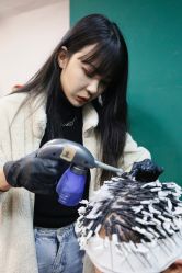 -野鸽脏辫·美式编发专项店