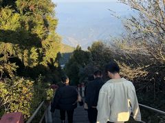 -江西阳明山国家森林公园