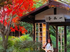 -中国茶叶博物馆(双峰馆区)