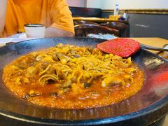 -红辣椒八爪鱼特色韩国料理