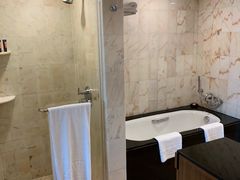 -新加坡文华东方酒店