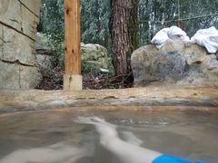 -金孔雀温泉旅游度假村