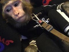 -盤古Spa泰式古法抓龙筋(鲁迅路店)